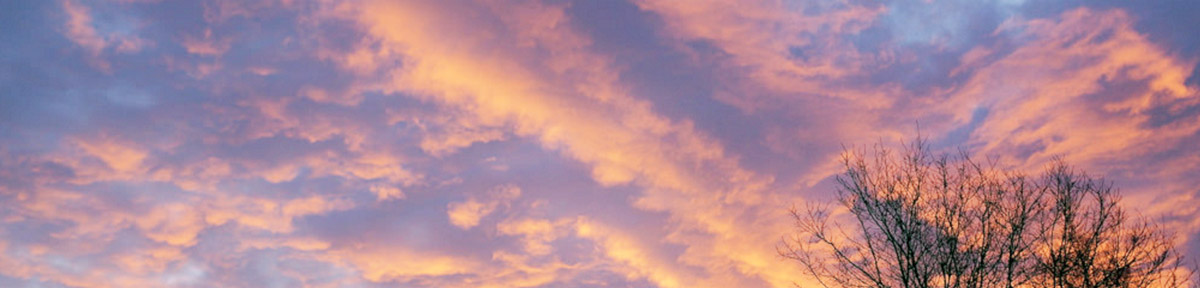 Slide background