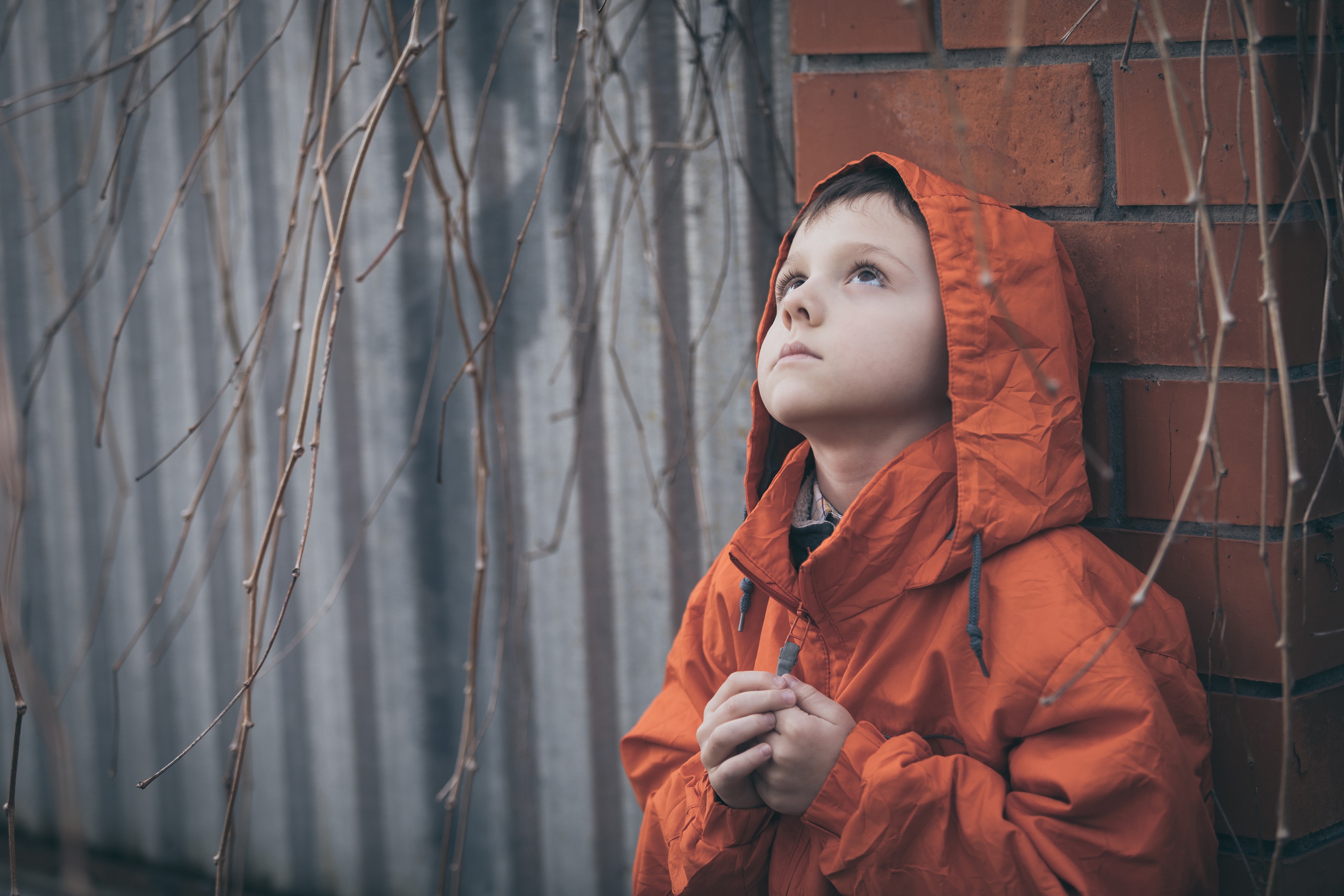 young boy with autism who needs help